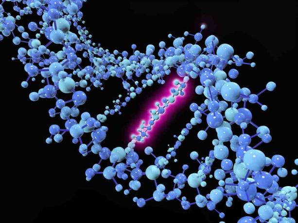 Точкова мутация е генетична мутация, при която единична нуклеотидна основа се променя, вмъква или изтрива от последователност на ДНК или РНК.