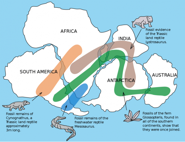 Карта на света, илюстрираща теорията за континенталния дрейф