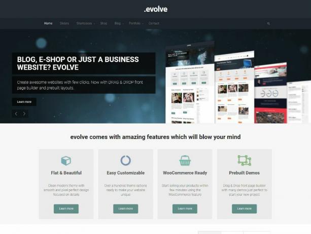 Темата Evolve WordPress