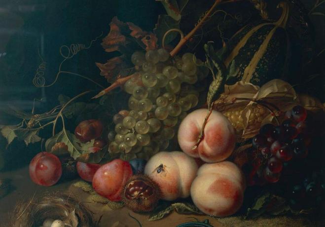 Comp Save to Board Италия, Флоренция, Натюрморт с плодове и насекоми от Рейчъл Руйш, 1711, масло върху платно, детайл