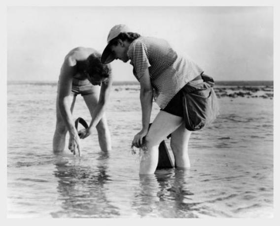 Рейчъл Карсън и Боб Хайнс, провеждащи изследвания на морската биология във Флорида