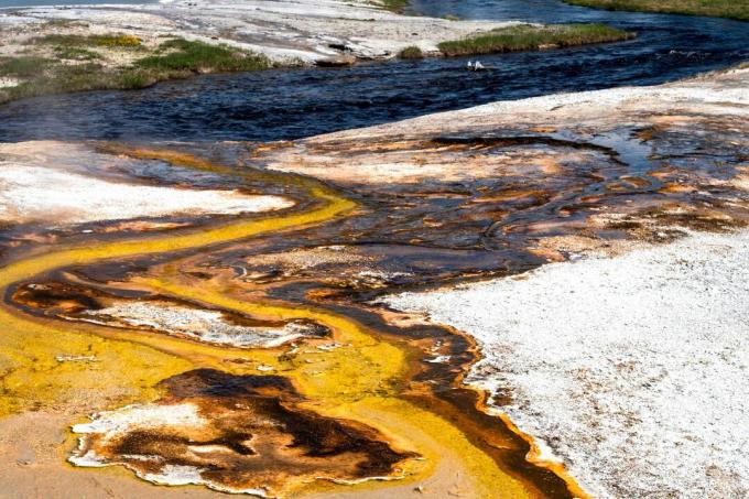 Термофилите, бактериите и други микроорганизми, които растат най-добре при по-високи от нормалните температури, създават интересни цветове в и около басейните в Национален парк Йелоустоун