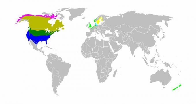 Карта на света, показваща хабитат на гъска в Канада.