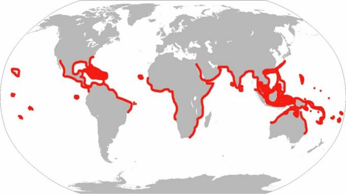 Това е историческият обхват на орелевите лъчи. Според съвременната класификация рибата живее само в Атлантическия океан, Карибите и Персийския залив.