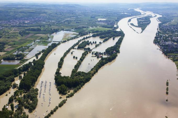 Германия, Хесен, Елтвил, Наводнение на река Рейн остров Koenigskling Aue, въздушна снимка